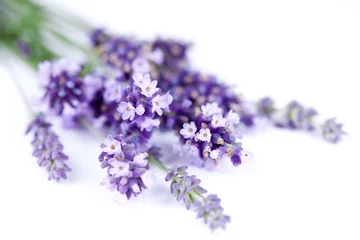 Gordijnen Lavendel bloemen © Beboy