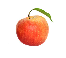 apple isolated on white background