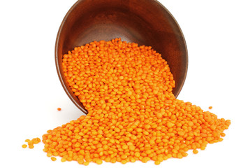 lentil3