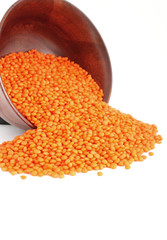 lentil2