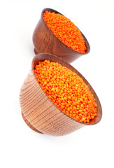 lentil1