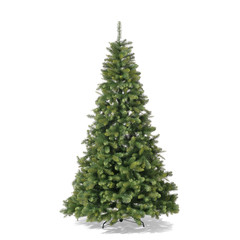 Weihnachtsbaum