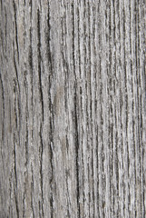 Dry wood background