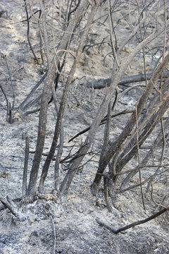 WundbrandBilder StockFotos & Videos. Adobe Stock