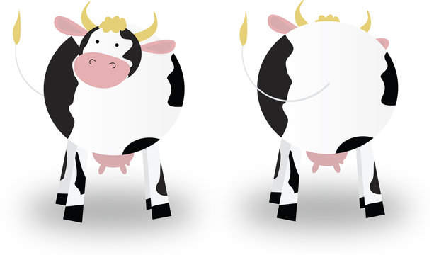 cow's front and rear view