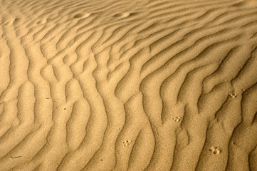 sand