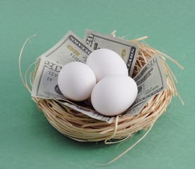 Nest with money ($20 dollar bills) and eggs