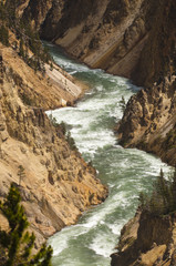 Obraz premium yellowstone river