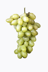 Speisetraube isoliert