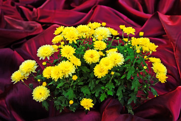 Yellow flowers on red silk background