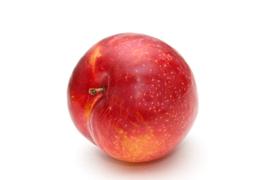 Red plum.