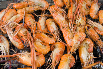 Shrimp grilled