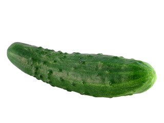 Cucumber