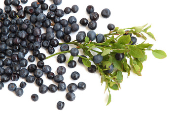 Bilberries