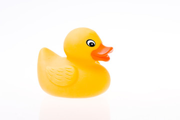 Little rubber duckling