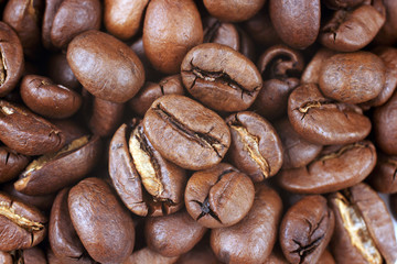 Close-up of coffee beans
