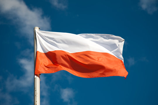 Fototapeta Polish flag against blue sky