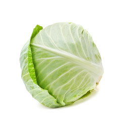cabbage