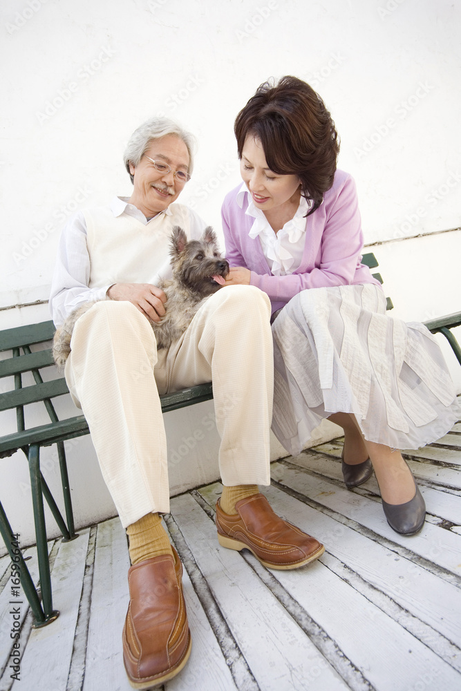 Wall mural 犬をかわいがるシニア夫婦