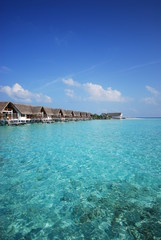 maldives/モルディブ