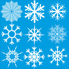 Fototapeta premium Snowflakes