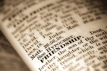 Book text: "Friendship" in focus.