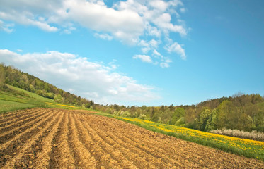 Fototapeta na wymiar Rural landscape