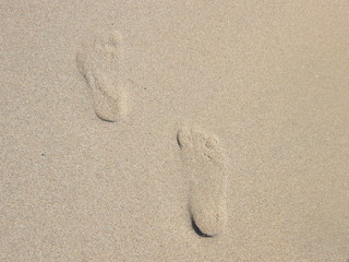 Fototapeta na wymiar footprint on beach