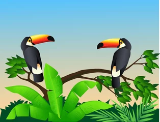 Crédence de cuisine en verre imprimé Animaux de la forêt oiseau toucan