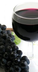 cépage > syrah > verre de vin rouge.