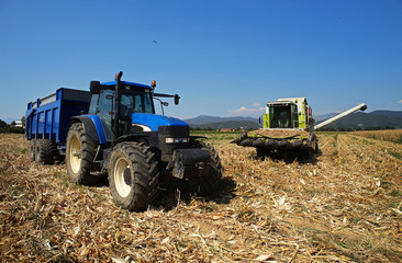 Obraz premium trebbiatura mais