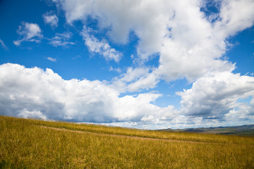 meadow of Inner Mongolia