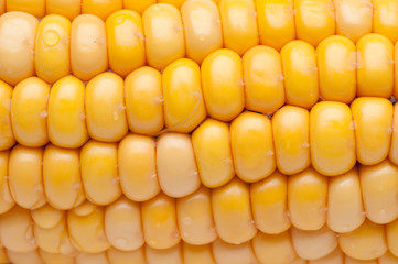 Corns