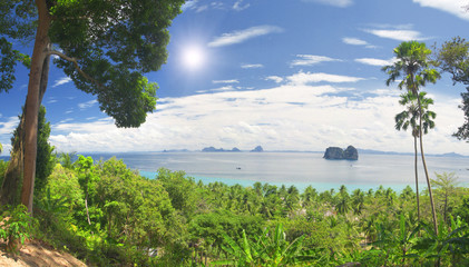 tropical landscape