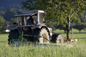 traktor auf dem feld