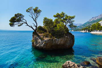 Island and trees