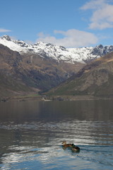 Fototapeta na wymiar Lake Wakatipu New Zealand