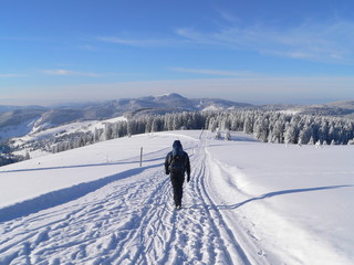 Fototapeta na wymiar Lone turystą w śniegu