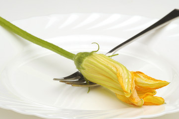 Cucinare i fiori di zucca