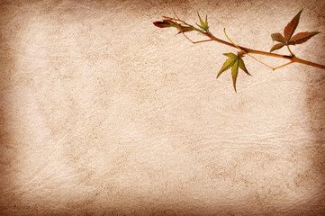 abstract grunge texture background with leafs