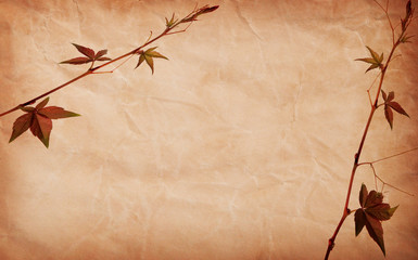 abstract grunge texture background with leafs