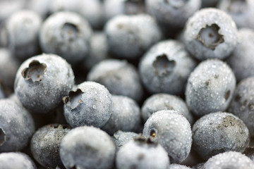 Fresh blueberries background