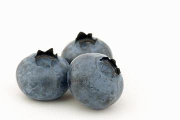 Blueberries isolated on white