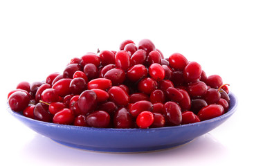 cranberries on the plate isolated on white