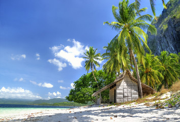 tropical solitude