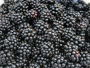 blackberries