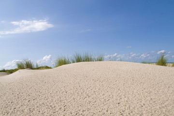 Sanddünen