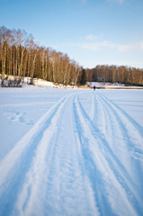 Fototapeta premium Frozen trees
