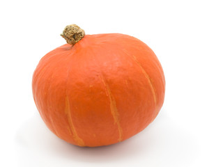 Pumpkin isolated on white