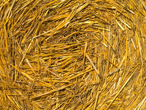 Detail of a hay bail background